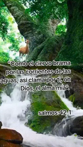 #señorjesucristo🙏🕊 #mujerdedios 