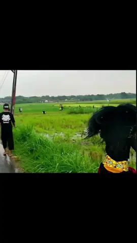 lanjut part 3 ,dan akhirnya saya terjatuh 😅 #barongan #blora #tarunoadijoyo #viral #lucu #fyp 
