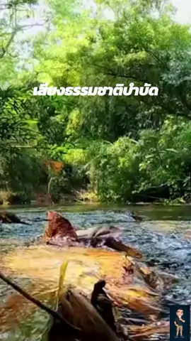 #เสียงธรรมชาติบำบัด#เสียงผ่อนคลาย