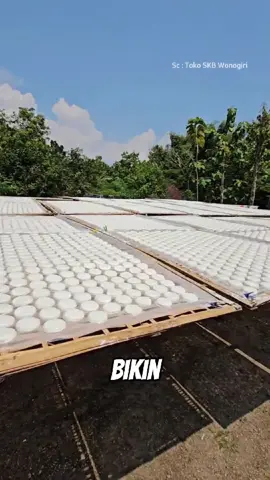 cara membuat brem #brem #serunyabelajar #fyp 