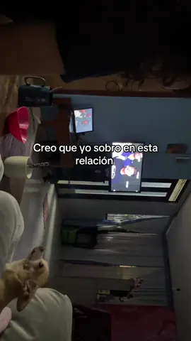#novios #mascotas #chihuahua 