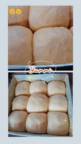 #CapCut 