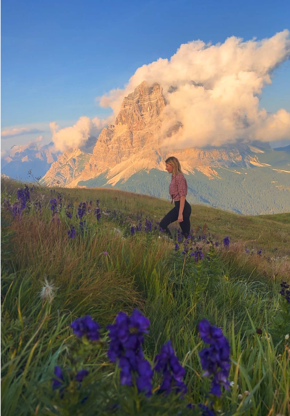 Found a field of flowers at 3000 m. Promise, I didn’t step on any of them 🌸 ##flowers##dolomites##Hiking##Outdoors