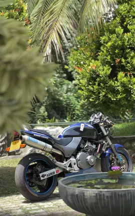 කෝල සිත දගකම් කලා නිදිනැති රැය පුරා..🩷💐 #honet250 #hornetridersclub🐝🇱🇰hrc #downsouth🇱🇰 #aluthgama #dikwella #matara #100k 