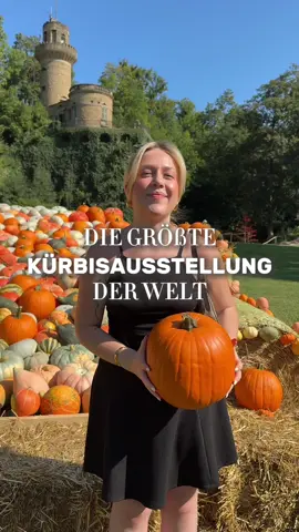 die größte Kürbisausstellung der Welt 🎃🍂🍁 findet vom 23. August bis zum 2. November wieder im Blühenden Barock in Ludwigsburg statt ✨ diesjähriges Thema ist „Großes Kino“ 🎥🎞️🍿 mit Figuren wie Harry Potter ⚡️, Marylin Monroe, Charlie Chaplin, Star Wars,… und viele leckere Foodspots gibts auch! 🤤 alle Infos, Preise und vieles mehr im Video ✨ + folgt gerne rein um sowas nicht mehr zu verpassen 🫶🏻 Perfektes Ausflugsziel im Herbst in Deutschland 🎃 und muss auf deine Herbst-Bucketlist 🥰 wen nimmst du mit? 👀 #kürbisausstellung #herbst #gutzuwissen #ludwigsburg #ausflugstipp #thingstodo #deutschland #städtetrip #reisetipps #badenwürttemberg #ausflug #kürbis selbst bezahlt