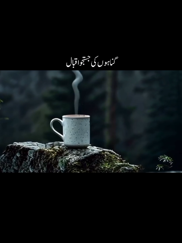 Kitna Ajeeb Hai #poetry #tiktokpoetry  #shayari #poetrystatus  #deeplines  