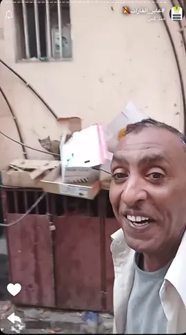 #عمان #البحرين #الشعب_الصيني_ماله_حل😂😂 #oman #bahrain #سنور #cats #عابر_القارات🔕 