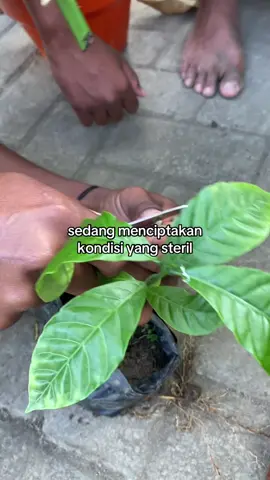 higenis #smkn1tulungagung #tulungagung24jam 