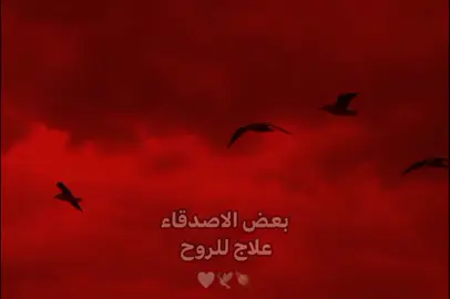 ༺@@༻ #تصميم_فيديوهات🎤🎬 #اللهم_عجل_لوليك_الفرج__💔🥺 #تصويري_احترافي_الاجواء👌🏻🕊😴 #تصميم_شاشه_حمره🖤🕊 #باسم_الكربلائي_رادود_ما_له_مثيل 