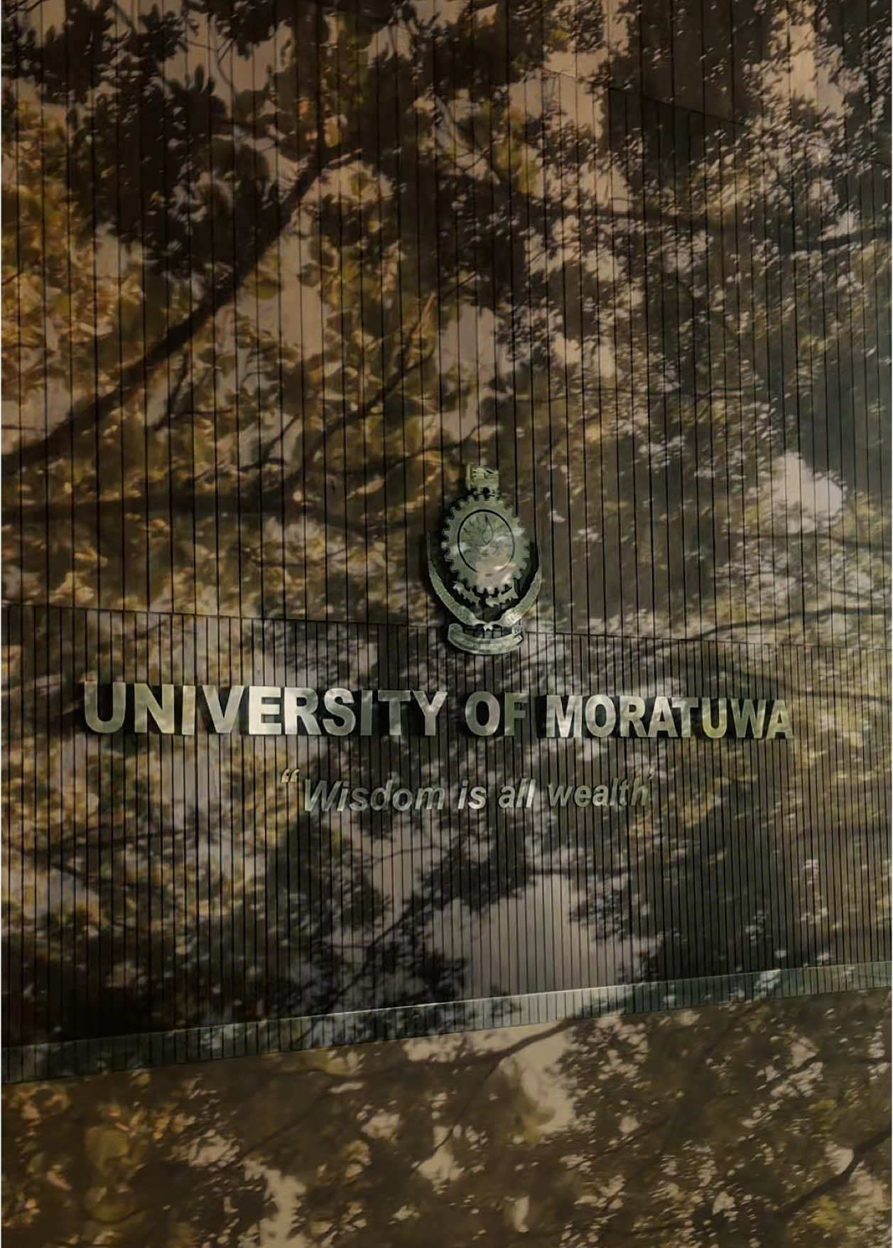 🤍🍃#universityofmoratuwa #bachelorsend #designerslides #fyp 