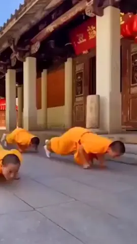 #kungfu #shaolin #lee25dragon #shaolinkungfu #viralvideo 