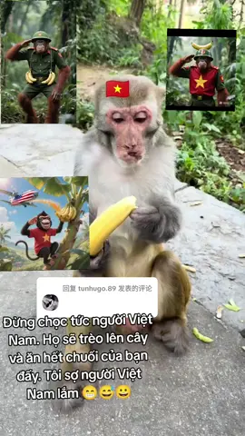 回复 @tunhugo.89 Đừng chọc tức người Việt Nam. Họ sẽ trèo lên cây và ăn hết chuối của bạn đấy. Tôi sợ người Việt Nam lắm 😁😅😀😂😂😂😂😆😆😬😬😬😬😄😅😅😜😝😛😛😇☺️😋