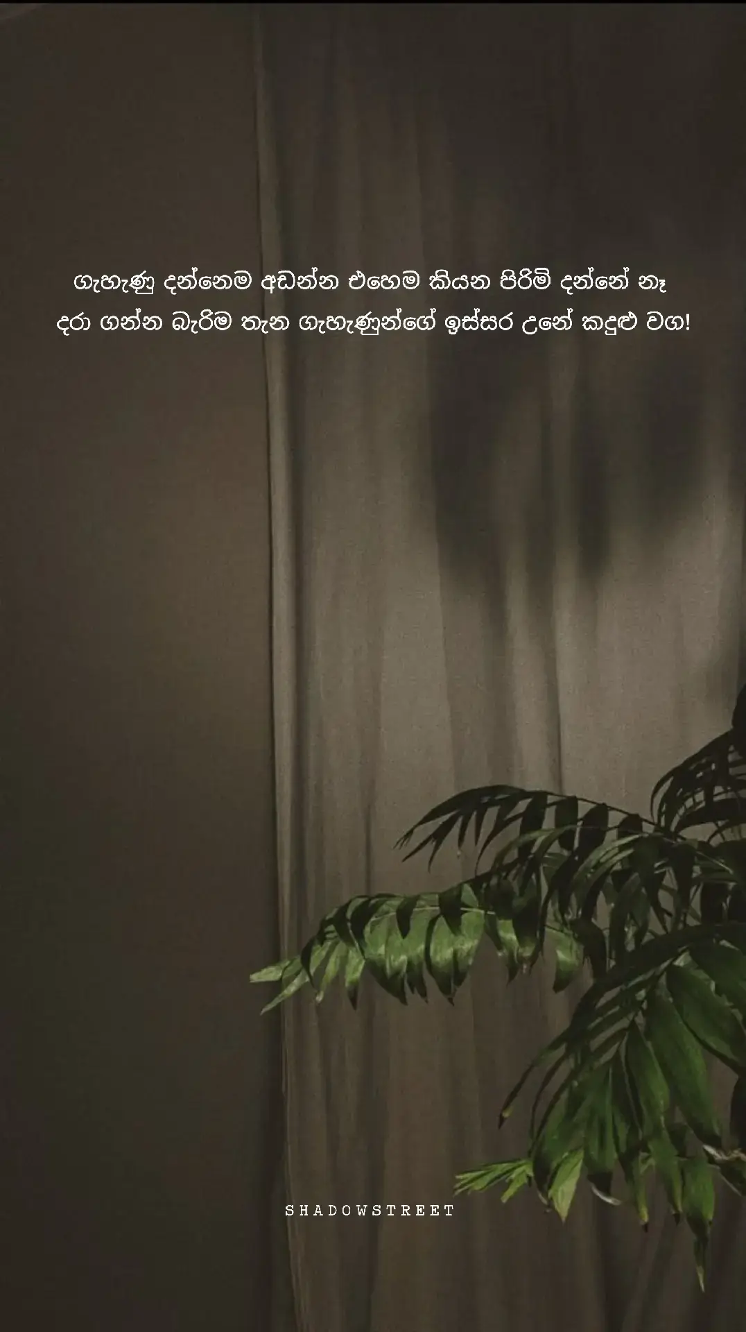 ගැහැණු කියන්නෙම හරි අමුතු ජාතියක් උන් හිතේ කොච්චර දුකක් තිබුනත් ඒක පිට කරන්නේ කේන්තියෙන් සමහර වෙලාවට දරාගන්නම බැරි උනහම උන්ගේ ඇස් වල කදුළු ඉස්සර වෙනවා ! හැබැයි ගැහැණුන්ගේ හිතේ කේන්තිය ආදරෙන් එක වචනයක් කිව්ව ගමන් නිවෙනවා උන් ඒ තරම් සංවේදියි එහෙම හිත තේරුම්ගන්න පුළුවන් පිරිමියෙක් ඉන්නවනම් ඒ ගැහැණු හරි වාසනාවන්තයි❤️‍🩹....! #foryou #foryou #trending #viral #1million  #50million #fypシ゚ 