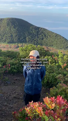 yh 