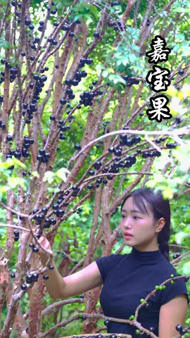 We call Jaboticaba 