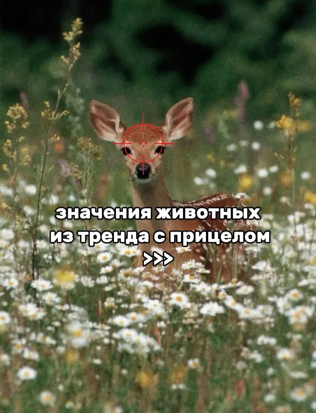 #folowme #lelele #кто?ты 