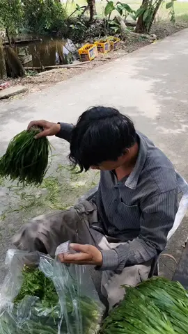 chuyen nghiep qua#69camaumaidinh #@Nguyễn Quốc 