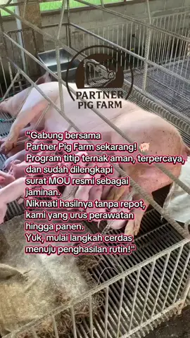 #fyp #babi #titipternakbabi #titipternak #ternakbabi #peternakan 