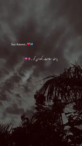 Ameen 🍂❤️‍🩹🫀#poetry #poetrystatus #asthetic #foryou #foryoupage #grow #1million #yousaf_vibes1 