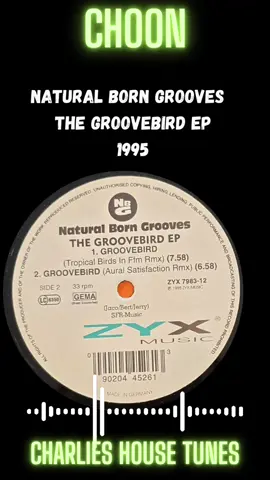 Natural Born Grooves The Groovebird EP #1995 #oldskoolmusic #ravers #garagehouse #memories #house #housemusic #progressive  #electronicmusic #dj #fyp #throwback #anthem #genx