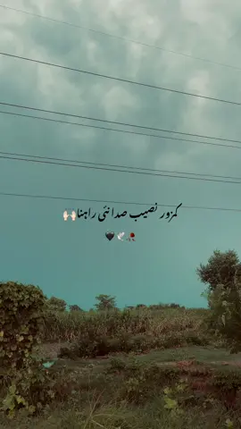 کمزور نصیب صدا نئی راہنا کدی بخت ہنیری وگسی 🦋🥀🖤#foryou #fyp #trending #foryoupage❤️❤️ #CapCut #سوناپنجاب😘🌾🌾 #panjabi #urdupoetry #stuts_video #پینداں_والے_جٹ @نعیم سکندر گوندل⚔️🥷🏿 @صامر عباس[رانجھا]🔥 @ghulam abbas 