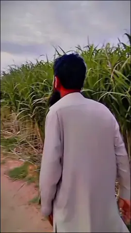 #viral#foryou #trending#Sardar #irfangrewal 