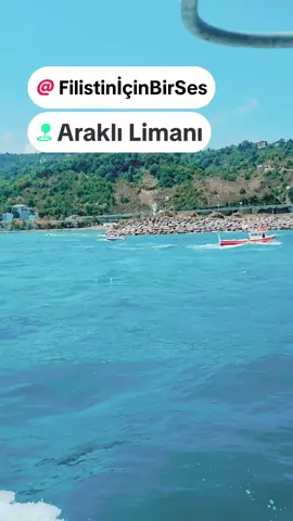 Ey Kudüs, ey şehadetin manası şehir Özler misin sen de Selahaddin’i Ey Nil, ey Fırat öfkesi kabaran nehir Anlatır mısın bana Kudüs’ün fethini Ruhu zincire vurulan Mescid-i Aksâ Selahaddinî tavrı özler misin sende Yıllardır hüzünlü Kubbetü’s sahra Ey Müminler beklenen o Kahraman nerde? Selahaddin Eyyubi o müstesna insan nerede? Yüzüm kızarır benim yüzüne bakamam Kudüs’ü sorarsan cevap bulamam Mukaddes mescidi, yahudi’ye ölsem de bırakmam..#uslanmaz61 