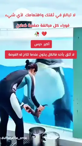 #الشعب_الصيني_ماله_حل #fyp #explore @𝗦𝗛𝗔𝗥𝗣𝗭 🇲🇾 @🔥𓆩𝑴𓆪🔥 #قصة#جيسكا#فقدان🥀💔ثقة#الطبع_يغلب_التطبع 