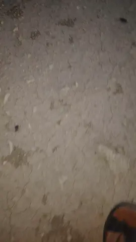 وين حاصره