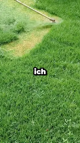 #fyp #tiktok #foryoupage #fypシ #DIY 