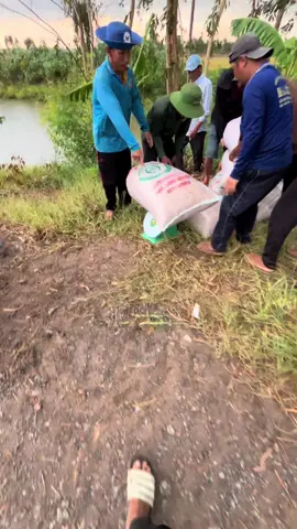 Sáng nắng chiều mưa 🤧lạnh quá 