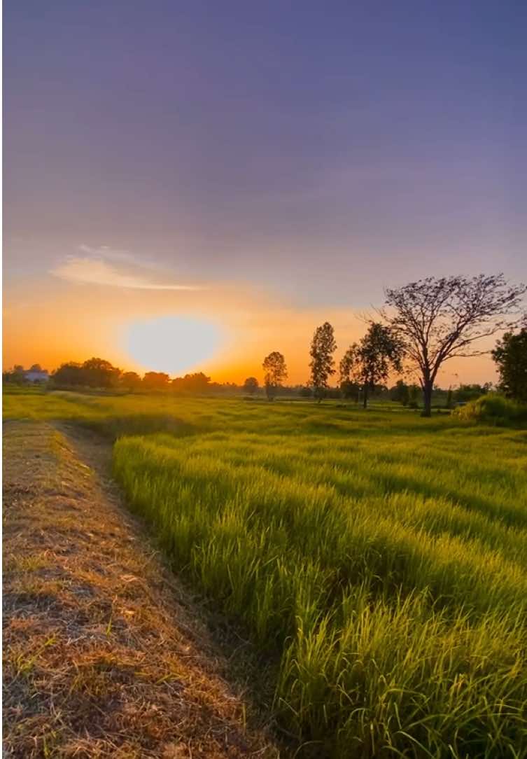 ที่รัก… #รับโปรโมทเพลง #แท็กแฟนมาดู #วิวบ้านนอก🍃 #ท้องฟ้า⛅🌈 #สตอรี่ความรู้สึก 