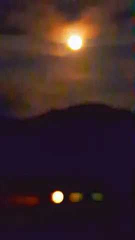moonlight. 