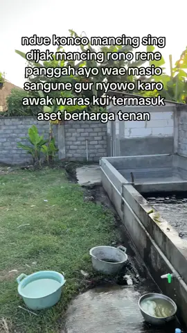 TAG koncomu sing mbok jak wira wiri turut kolam ra ngerti wayah pren ✌🏻 #fypmancing #fyppppppppppppppppppppppp #bawal #galatama #Meme MemeCut 