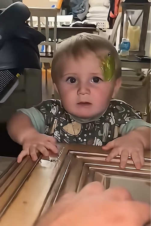 Baby’s unlucky moment 😂🤣#funny #baby #animal #funnymonents #usa #funbyvideos #tiktok 