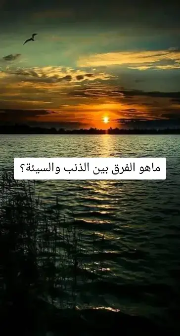 اغفر لنا ياالله #سبحان_الله_الحمدلله_لااله_الا_الله #اللهم_صلي_على_نبينا_محمد #رحمتك_ياالله_فنحن_بدونك_لاشيء🥺💔 #اذكروا_الله_يذكركم 