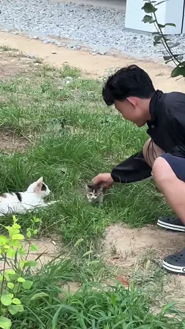 My cat still needs more experience to be a good mom 🥰🥰#cat #funnycat #catsoftiktok #funnyvideos #funnytiktok #fyp #foryou #tiktok 