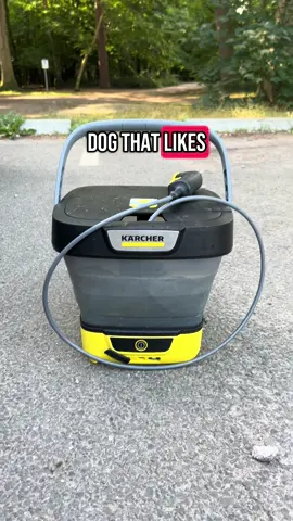 @Kärcher UK mobile cleaner. Great for all outdoor cleaning. #mobilecleaner #karcher #mobilewasher #pressurewasher #dogcleaning #muddydog #ronniethelab #dogmumlife 