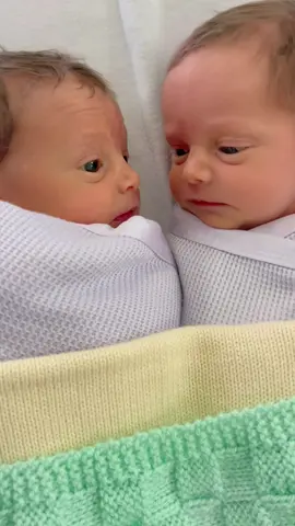 Twin babies with the same frequency 🥰#funny #fyp #baby #foryou #fyppppppppppppppppppppppp #tik_tok #cute #happy #twins 