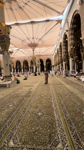 ماشاء الله تبارك الله المسجد النبوي قبيل صلاة الظهر اليوم ، اللهم ارزق كل مشتاق زيارة قريبة 🕌❤️. #المسجد_النبوي #المدينه_المنورة 