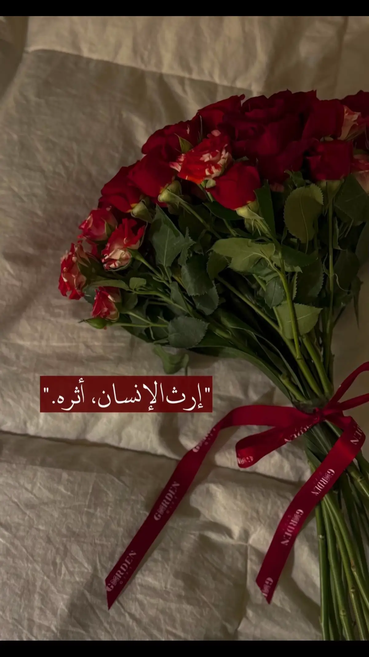 #زهرة #كلام_جميل :/#