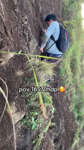cocok buat pemula 😎😎#promomakanmerdeka #lambangg #mojokerto #penanggungan1653mdpl 