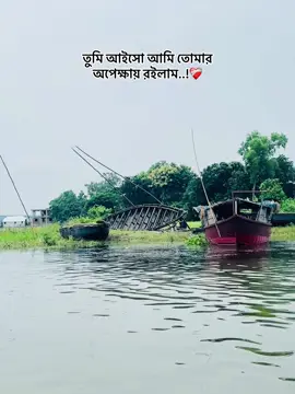 তুমি আইসো আমি তোমার অপেক্ষায় রইলাম..!❤️‍🩹 #for #viralvideo #foryou #viral 