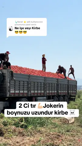 @🗽Berat ☀️ adlı kullanıcıya yanıt veriliyor #domatez #turgutlu #CapCut 