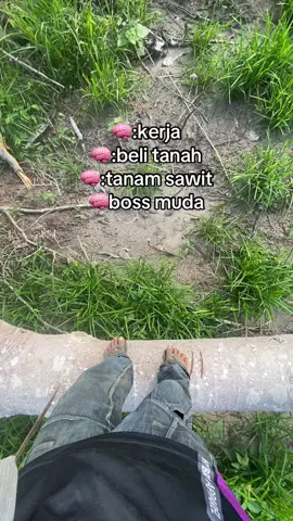 🤲🏻#petanimuda #petanisawit #perintismuda #sawitontiktok 