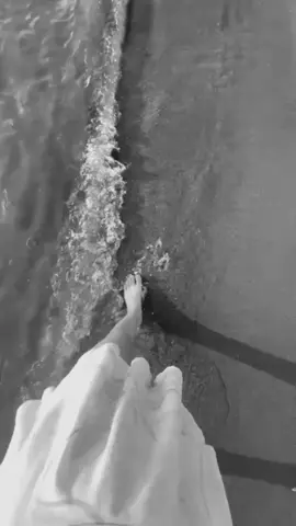 #CapCut #fyp #tranding 🩵🌊🐬🩵🩵🩵🩵🩵🩵🩵🩵🩵🩵🩵🩵🩵🩵🩵🩵🩵🩵🩵🩵🩵🩵🩵🩵🩵🩵🩵🩵🩵🩵🩵🩵🩵🩵🩵🩵🩵🩵🩵🩵🩵🩵🩵🩵🩵🩵🩵🩵🩵🩵🩵🩵🩵🩵🩵🩵🩵🩵 #explore #tik_tok #بيسان_اسماعيل  #علاش  @بيسان اسماعيل - Bessan Ismail 