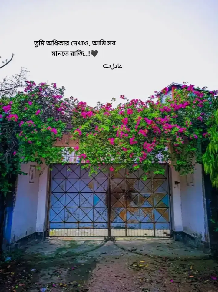 তুমি অধিকার দেখাও, আমি সব মানতে রাজি..!🖤 # # #videoviral #tiktok #caption#fyyyyyyyyyyyyyyyyyyy #viralvideo 