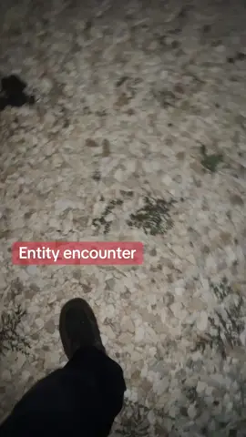 Real entity encounter!! #l_u_c_e_r_o117 #scpfoundation #entity #realghost 