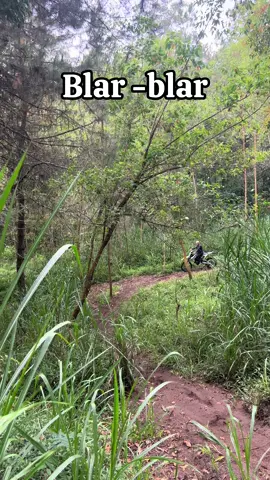 Pokok e jeg blar-blar#husqvarna450 