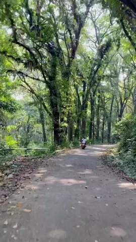 Wisata alam, dengan destinasi wisata alam yg segar 🍃💦 #curugputricarita #wisataalam  #explorepandeglang #explore  #wisatabanten #explorebanten  #healing #jelajahalam  #alamindah #Hiking  #adventure #AdventureVibes  #fyp #fypage 